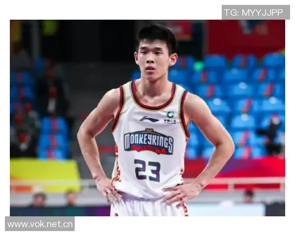 媒体人点评林葳最后一攻选择失误后卫应承担更多责任