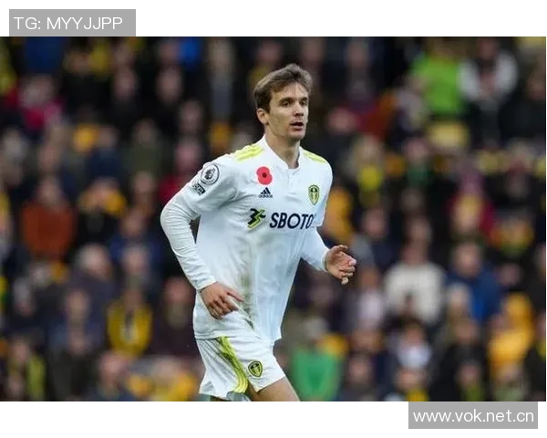 尤文图斯瞄准图卢兹后卫克雷斯韦尔转会费预计达1000万欧元